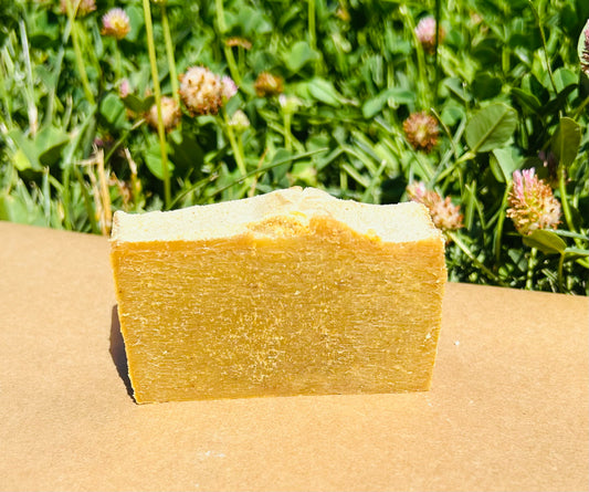 Moringa Luxe Bar